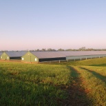 Poultry Farm