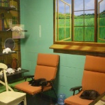 Another play room for the cats at the shelter.