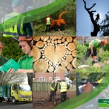 A rewarding career in arboriculture